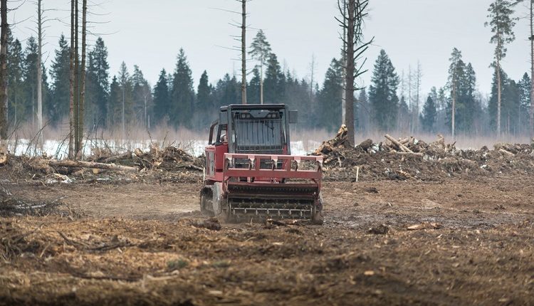 Forestry Mulching